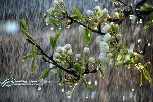 فعالیت بارشهای سیلآسا در سراسر کشور؛ هشدار بارش برف، بارانو طوفان فعالیت بارشهای سیلآسا در سراسر کشور؛ هشدار بارش برف، بارانو طوفان