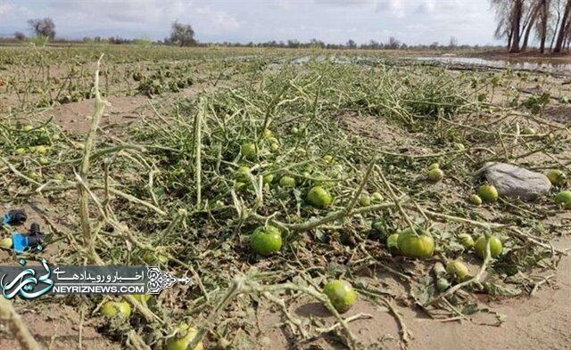 هشدار تخریب محصولات کشاورزی در ۲۴ استان؛ بارشها از شنبهتمام میشود هشدار تخریب محصولات کشاورزی در ۲۴ استان؛ بارشها از شنبهتمام میشود